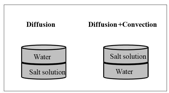 INVESTIGATIONS INTO THE POTENTIAL CONVECTIVE TRANSPORT PROCESS IN MASONRY MATERIALS DEPENDING ON THE MOISTURE CONTENT AND CONCENTRATION OF THE PORE SOLUTION