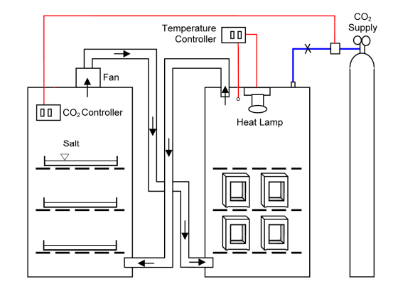 ASSESSMENT OF CARBON SEQUESTRATION POTENTIAL OF CONCRETE BLOCKS WITH AN ACCELERATED ENVIRONMENTAL EXPOSURE CHAMBER